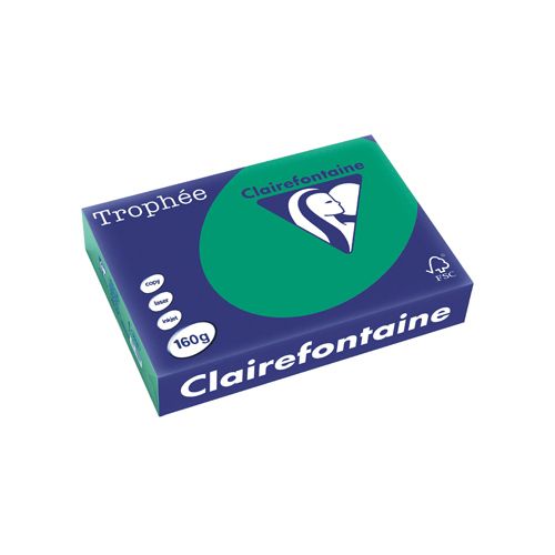 Clairefontaine Papier Clairefontaine Trophée Intens A4,, 160g, 250vel, dennengroen