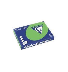 Clairefontaine Papier Clairefontaine Trophée Intens A3, 80 g, 500 vel, grasgroen