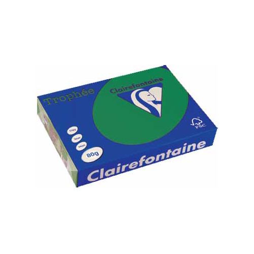 Clairefontaine Papier Clairefontaine Trophée Intens A4, 80 g, 500 vel, dennengroen