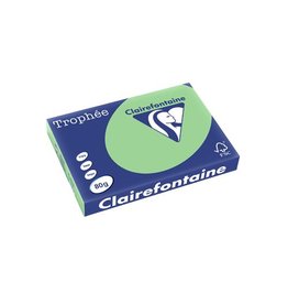 Clairefontaine Papier Clairefontaine Trophée Pastel A3, 80 g, 500 vel, natuurgroen