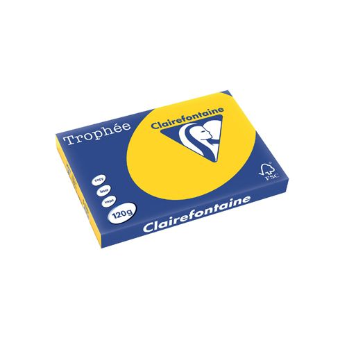 Clairefontaine Clairefontaine Trophée Pastel, gekleurd papier, A3, 120 g, 250 vel, goudgeel