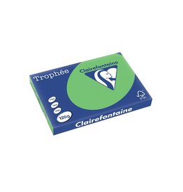 Clairefontaine Clairefontaine Trophée Intens, gekleurd papier, A3, 120 g, 250 vel, grasgroen