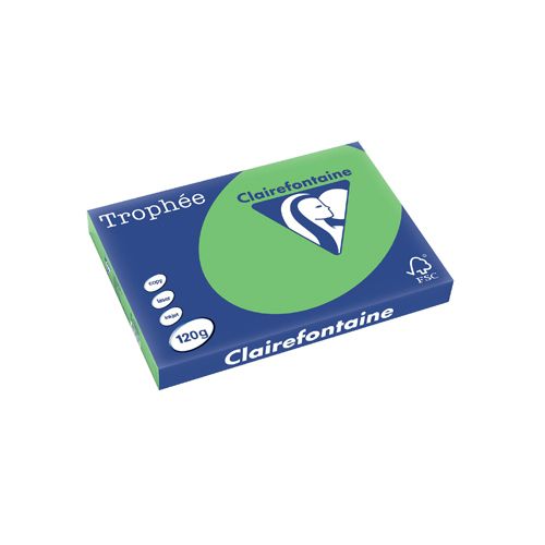 Clairefontaine Papier Clairefontaine Trophée Intens, gekleurd papier, A3, 120 g, 250 vel, grasgroen