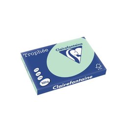 Clairefontaine Clairefontaine Trophée Pastel, gekleurd papier, A3, 120 g, 250 vel, groen