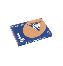 Clairefontaine Papier Clairefontaine Trophée Pastel A3, 120 g, 250 vel, mokkabruin