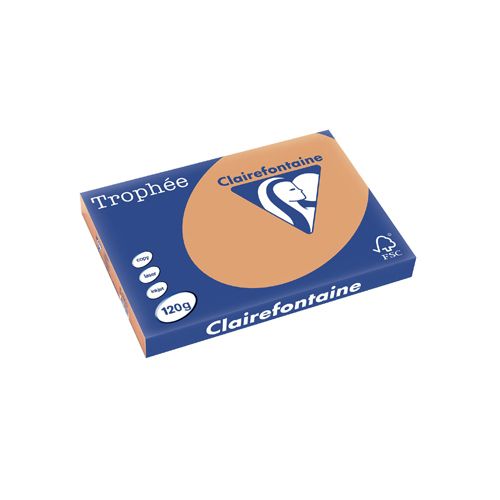 Clairefontaine Clairefontaine Trophée Pastel, gekleurd papier, A3, 120 g, 250 vel, mokkabruin