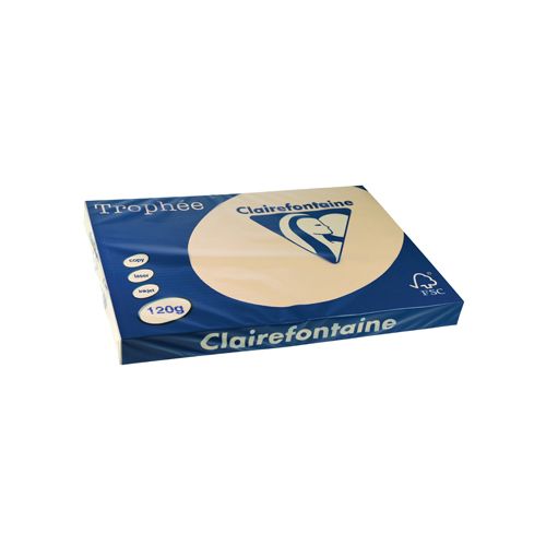 Clairefontaine Papier Clairefontaine Trophée Pastel A3, 120 g, 250 vel, parelgrijs