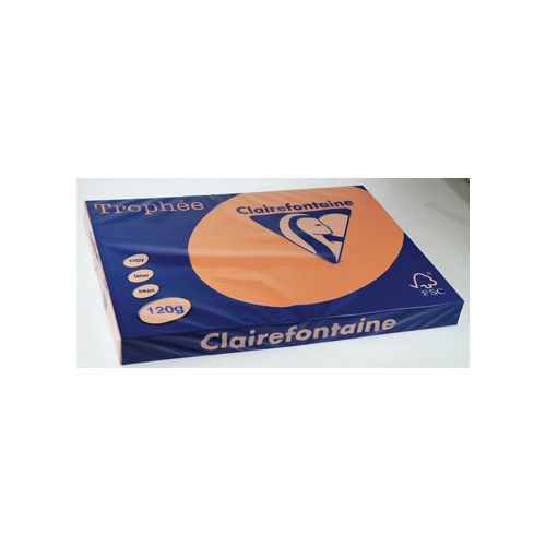 Clairefontaine Papier Clairefontaine Trophée Pastel A3, 120 g, 250 vel, abrikoos