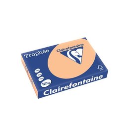 Clairefontaine Papier Clairefontaine Trophée Pastel A4, 120 g, 250 vel, abrikoos