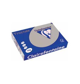 Clairefontaine Papier Clairefontaine Trophée Pastel A4, 120 g, 250 vel, lichtgrijs