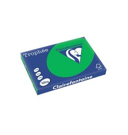 Clairefontaine Clairefontaine Trophée Intens, gekleurd papier, A3, 120 g, 250 vel, bijartgroen