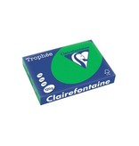 Clairefontaine Papier Clairefontaine Trophée Intens A4, 120g, 250vel, bijartgroen