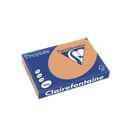 Clairefontaine Papier Clairefontaine Trophée Pastel A3, 80g, mokkabruin [5st]