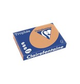 Clairefontaine Papier Clairefontaine Trophée Pastel A4, 120 g, 250 vel, mokkabruin