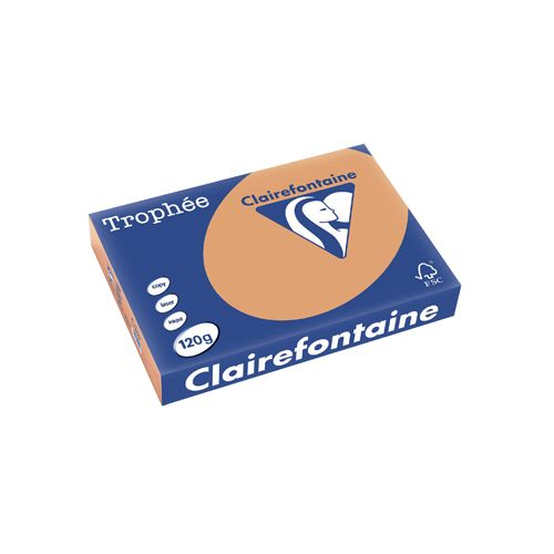 Clairefontaine Papier Clairefontaine Trophée Pastel A4, 120 g, 250 vel, mokkabruin