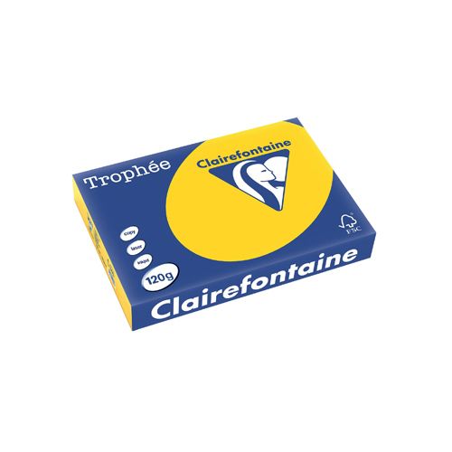 Clairefontaine Papier Clairefontaine Trophée Pastel A4, 120 g, 250 vel, goudgeel