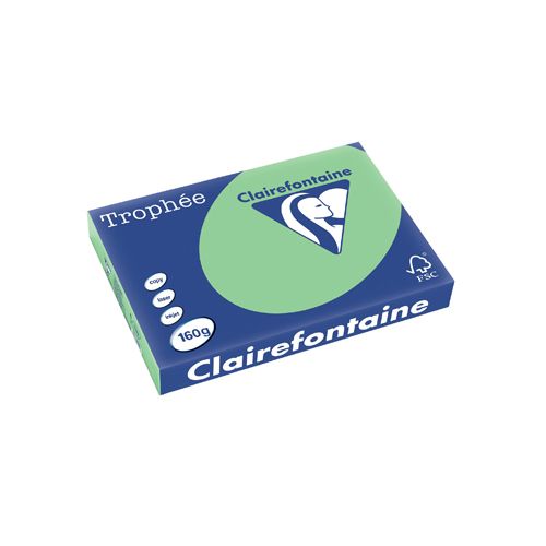 Clairefontaine Papier Clairefontaine Trophée Pastel A3, 160g, 250vel, natuurgroen
