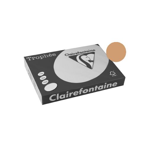 Clairefontaine Papier Clairefontaine Trophée Pastel A3, 160 g, 250 vel, mokkabruin