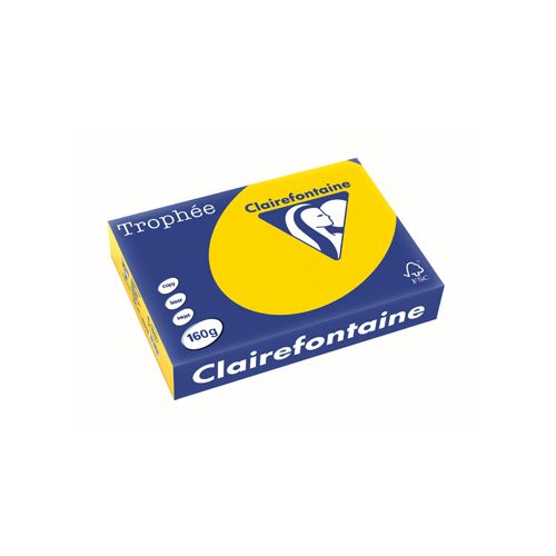 Clairefontaine Papier Clairefontaine Trophée Pastel A4, 160 g, 250 vel, goudgeel