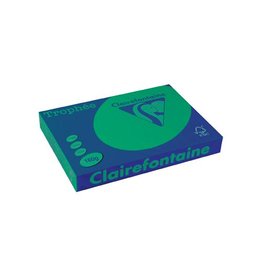 Clairefontaine Papier Trophee A3 160G 250V Dennegrn [1st]