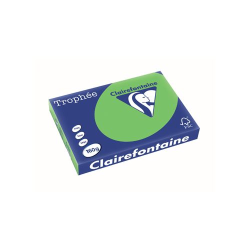 Clairefontaine Papier Clairefontaine Trophée Intens A3, 160 g, 250 vel, grasgroen