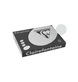 Clairefontaine Clairefontaine Trophée Pastel, gekleurd papier, A3, 160 g, 250 vel, lichtgrijs