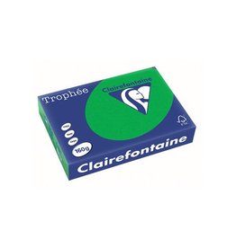 Clairefontaine Papier Clairefontaine Trophée Intens A4, 160g, 250vel, biljartgroen