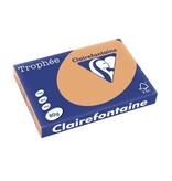 Clairefontaine Clairefontaine Trophée Pastel, gekleurd papier, A3, 80 g, 500 vel, mokkabruin