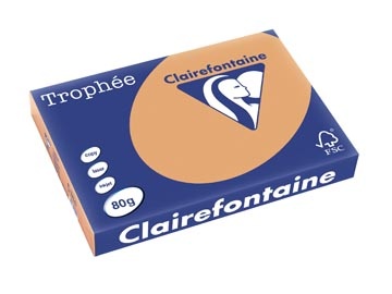 Clairefontaine Clairefontaine Trophée Pastel, gekleurd papier, A3, 80 g, 500 vel, mokkabruin