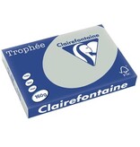 Clairefontaine Clairefontaine Trophée Pastel, gekleurd papier, A3, 160 g, 250 vel, lichtgrijs