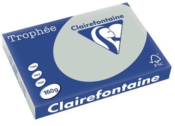 Clairefontaine Clairefontaine Trophée Pastel, gekleurd papier, A3, 160 g, 250 vel, lichtgrijs