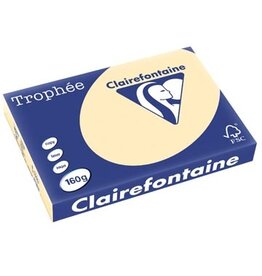 Clairefontaine Clairefontaine Trophée Pastel, gekleurd papier, A3, 160 g, 250 vel, gems