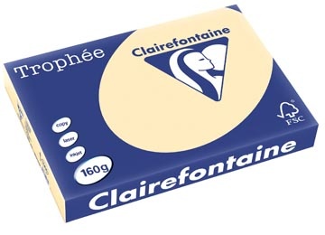 Clairefontaine Clairefontaine Trophée Pastel, gekleurd papier, A3, 160 g, 250 vel, gems