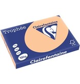 Clairefontaine Clairefontaine Trophée Pastel, gekleurd papier, A3, 120 g, 250 vel, abrikoos