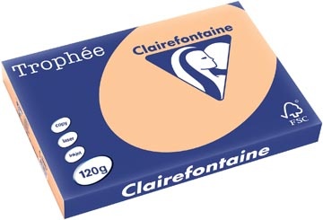 Clairefontaine Clairefontaine Trophée Pastel, gekleurd papier, A3, 120 g, 250 vel, abrikoos
