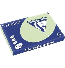 Clairefontaine Clairefontaine Trophée Pastel, gekleurd papier, A3, 120 g, 250 vel, golfgroen