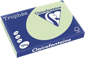 Clairefontaine Clairefontaine Trophée Pastel, gekleurd papier, A3, 120 g, 250 vel, golfgroen