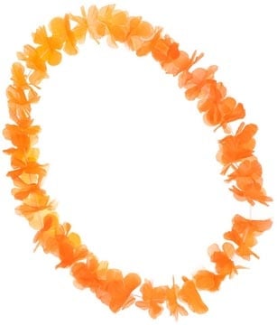 DBV Oranje Hawaii krans