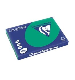 Clairefontaine Clairefontaine Trophée Intens, gekleurd papier, A3, 120 g, 250 vel, dennengroen