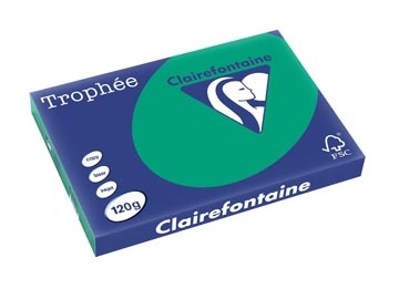 Clairefontaine Clairefontaine Trophée Intens, gekleurd papier, A3, 120 g, 250 vel, dennengroen