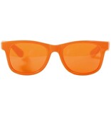DBV Oranje bril, blues brothers
