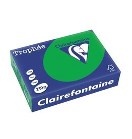 Clairefontaine Clairefontaine Trophée Intens, gekleurd papier, A4, 210 g, 250 vel, bijartgroen
