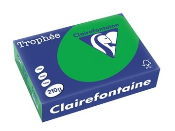 Clairefontaine Clairefontaine Trophée Intens, gekleurd papier, A4, 210 g, 250 vel, bijartgroen