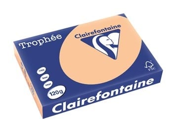 Clairefontaine Clairefontaine Trophée Pastel, gekleurd papier, A4, 120 g, 250 vel, abrikoos
