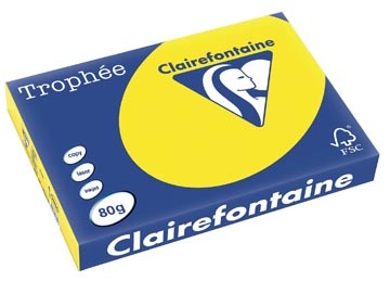Clairefontaine Clairefontaine Trophée Pastel, gekleurd papier, A3, 80 g, 500 vel, fluogeel
