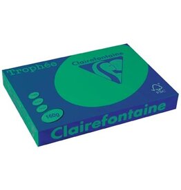 Clairefontaine Clairefontaine Trophée Intens, gekleurd papier, A3, 160 g, 250 vel, dennengroen