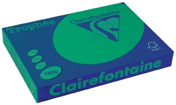 Clairefontaine Clairefontaine Trophée Intens, gekleurd papier, A3, 160 g, 250 vel, dennengroen
