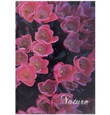 Office Products OFFICE products schrift, Nature, met harde kaft, A5, 96 blad, met kantlijn, geruit 5mm