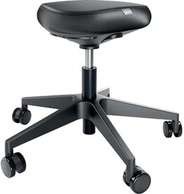 Leitz Leitz Ergo actieve Zitkruk met comfortzitting, met wieltjes, zwart