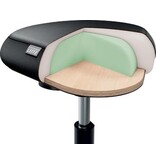 Leitz Leitz Ergo actieve Zitkruk met comfortzitting, met wieltjes, zwart
